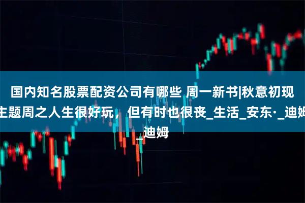 国内知名股票配资公司有哪些 周一新书|秋意初现主题周之人生很好玩，但有时也很丧_生活_安东·_迪姆