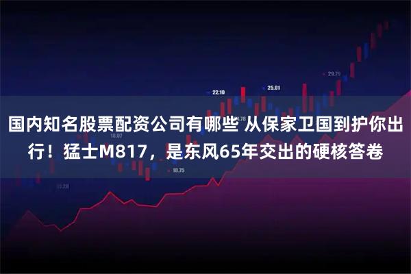 国内知名股票配资公司有哪些 从保家卫国到护你出行！猛士M817，是东风65年交出的硬核答卷